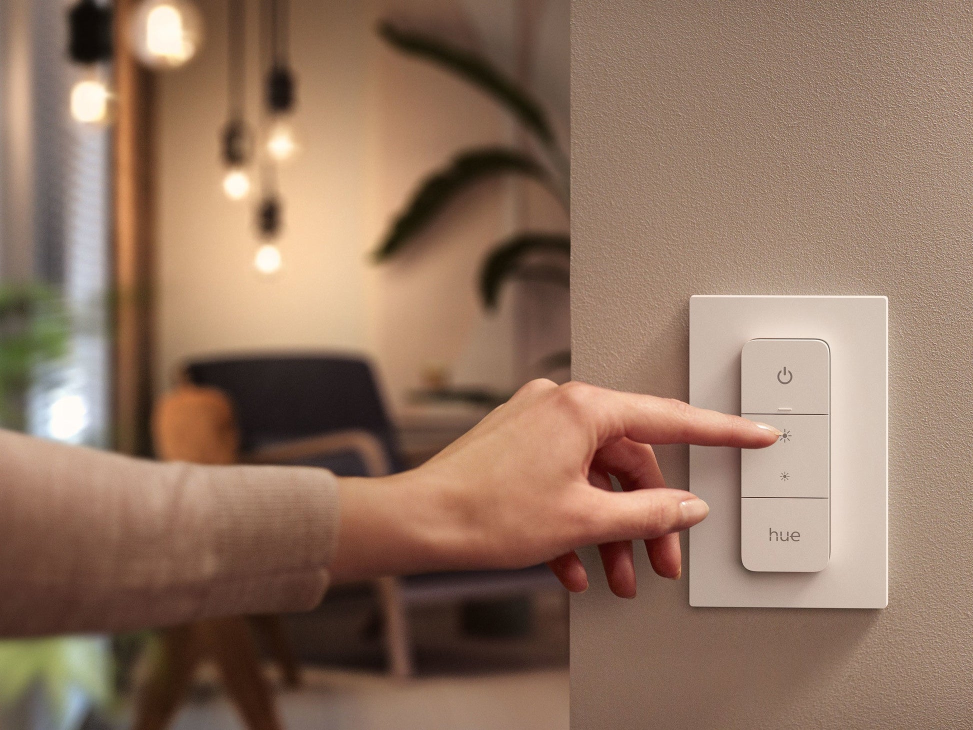 voorbeeld hue dimmer switch wandmontage