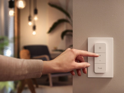 voorbeeld hue dimmer switch wandmontage