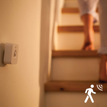 Hue Motion sensor - motion sensor