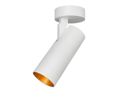 Opbouwspot SLIMM-50 wit | goud